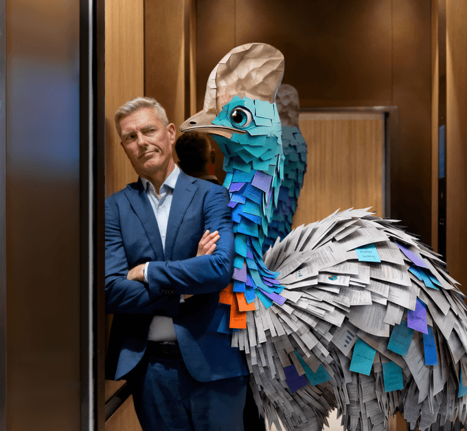 Cassowary in the elevator
