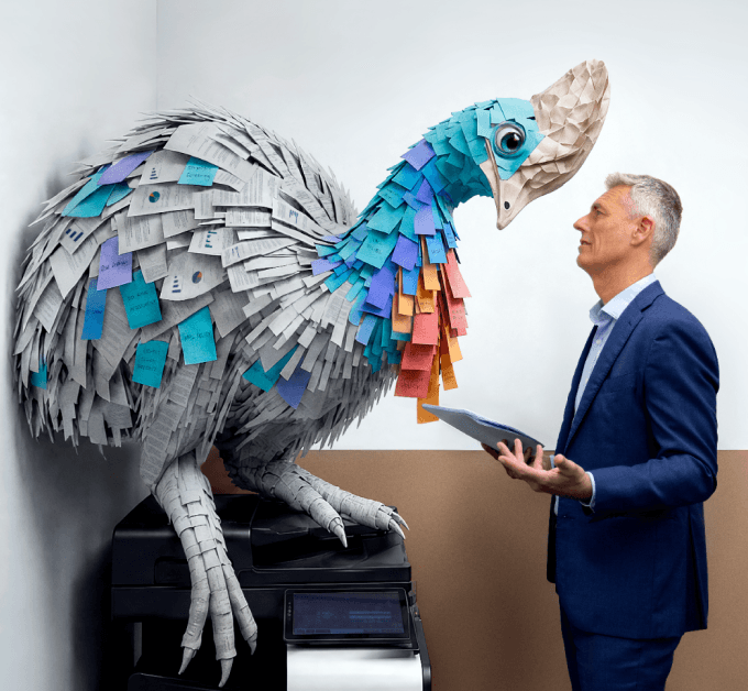 Compliance Cassowary